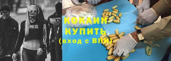 дживик Няндома