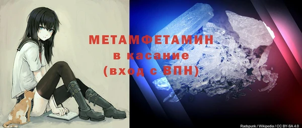 дживик Няндома