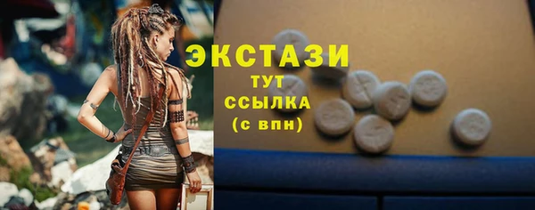 дживик Няндома