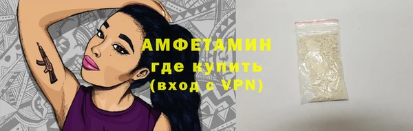 дживик Няндома