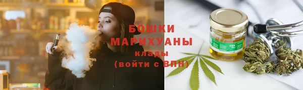 дживик Няндома