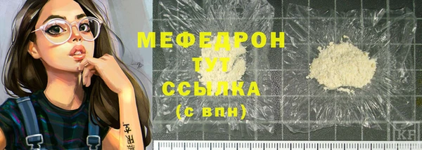 дживик Няндома