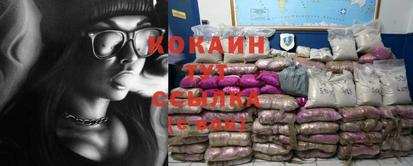 дживик Няндома