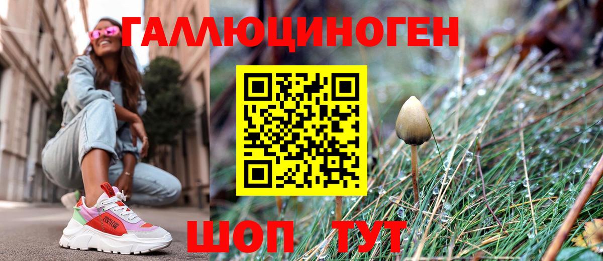 Галлюциногенные грибы Cubensis  Вход с VPN  Алапаевск 