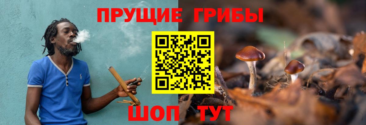 Галлюциногенные грибы ЛСД Алапаевск