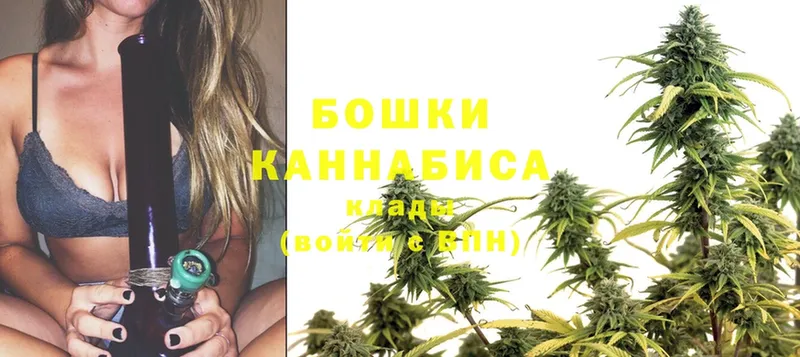 omg онион  Алапаевск  Шишки марихуана SATIVA & INDICA 